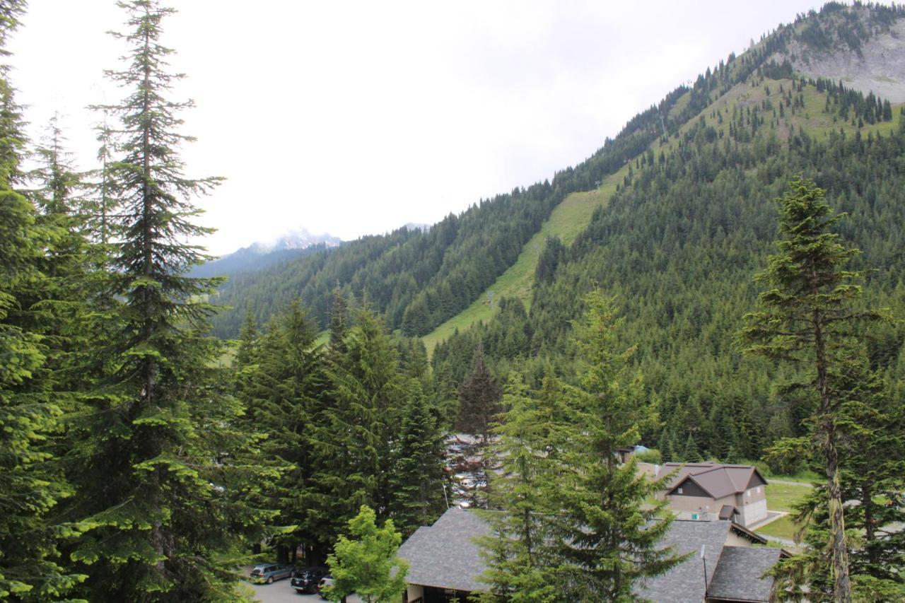 Crystal Chalets Greenwater Dış mekan fotoğraf